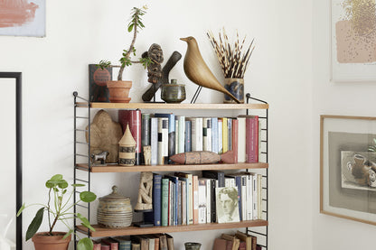Eames House Bird