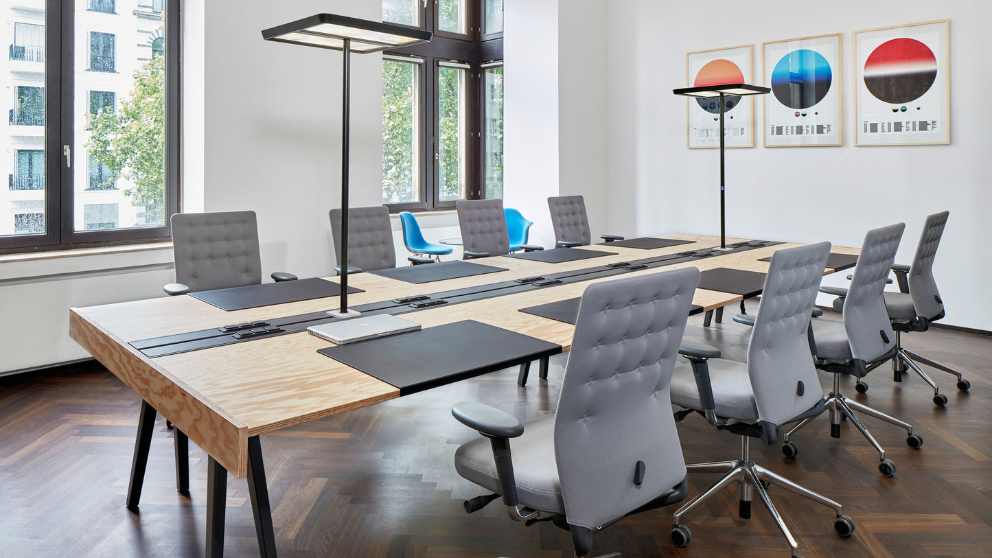 ID Trim with adjustable lumbar support