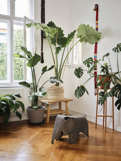 Eames Elephant (Plywood)