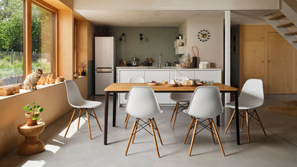 DSW Eames Plastic Side Chair