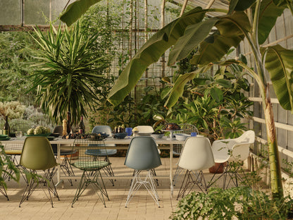 Eames Plastic Side Chair DSR