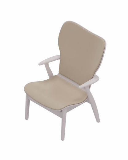 Domus Lounge Chair